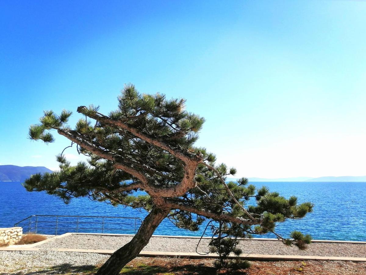 Apartment Suzie Q - Intermezzo With Sea View Rabac Eksteriør billede